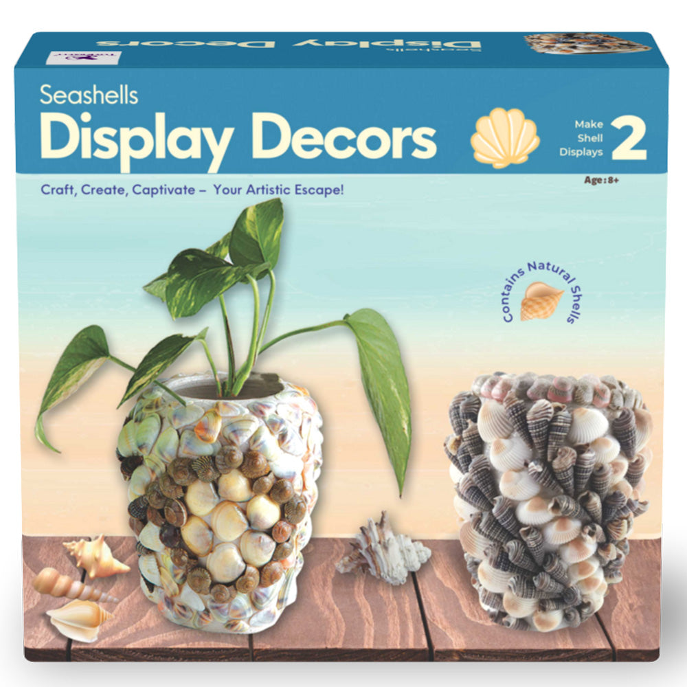 Seashells Display Decors view 1